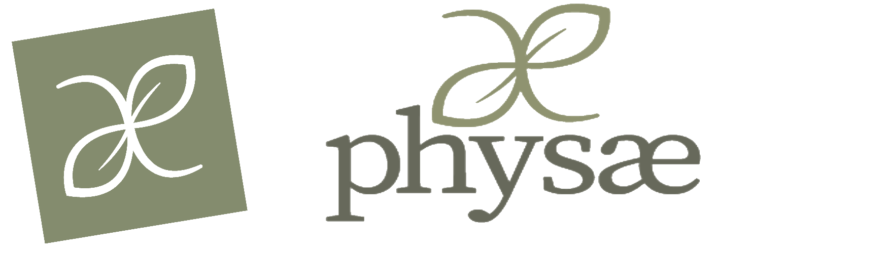 Logo Physae Hair Spa